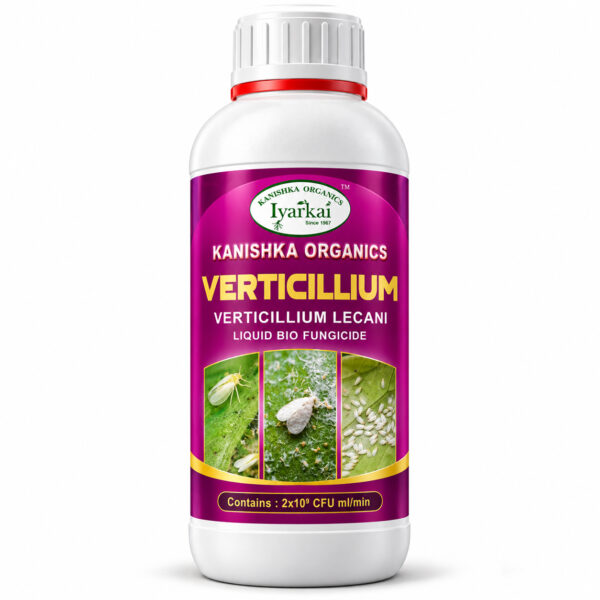 Verticilium lecanii