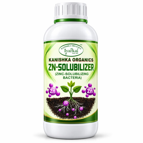 Zinc solublizing bacteria
