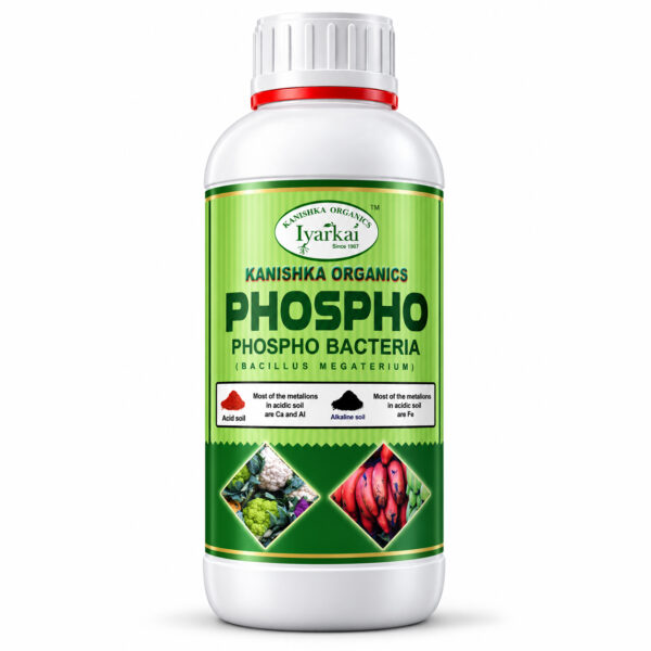 Phosphobacteria
