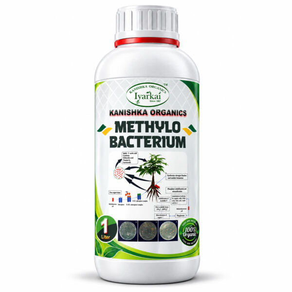 Methylobacterium