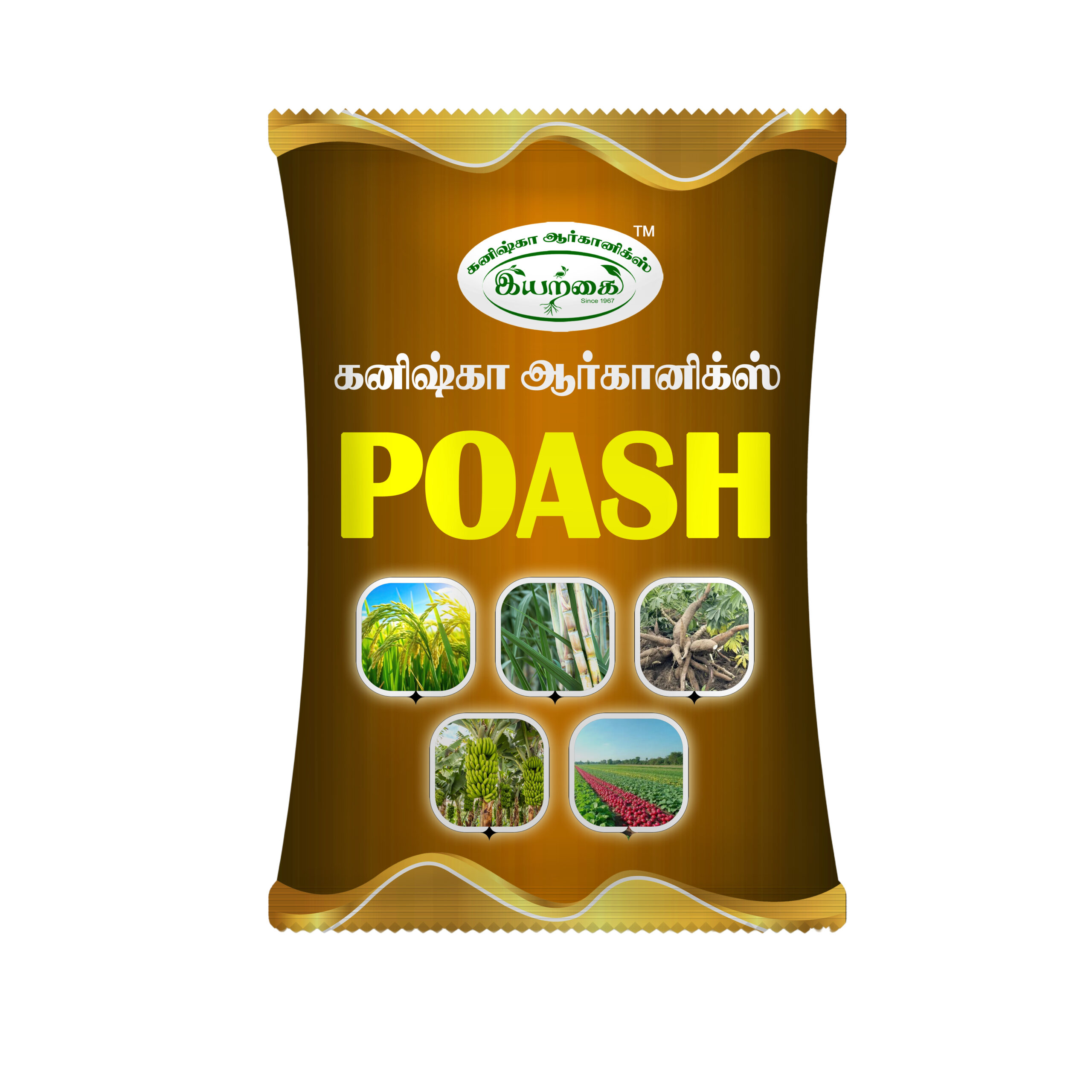 POAS_1 copy.jpg