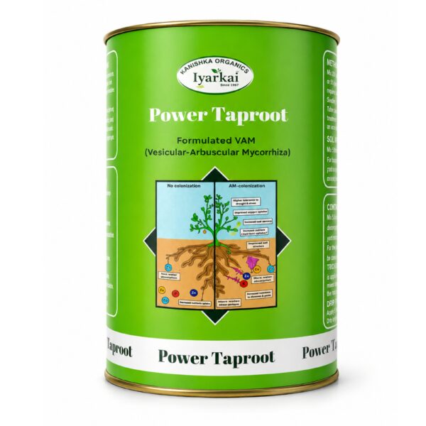 Power taproot (Formulated vam) 100 G | 250 G
