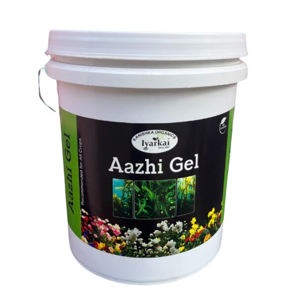 Aazhi gel (10kgs)