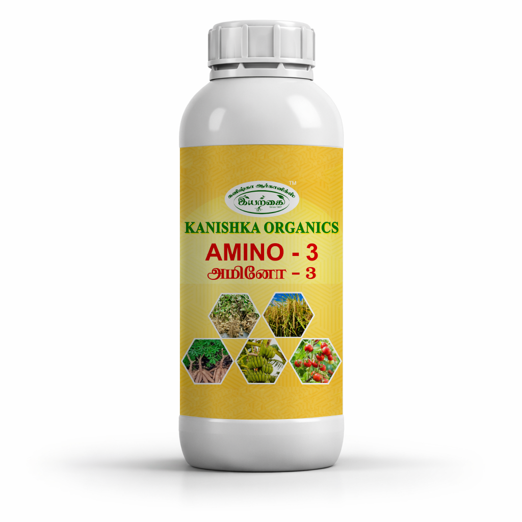 amino-3