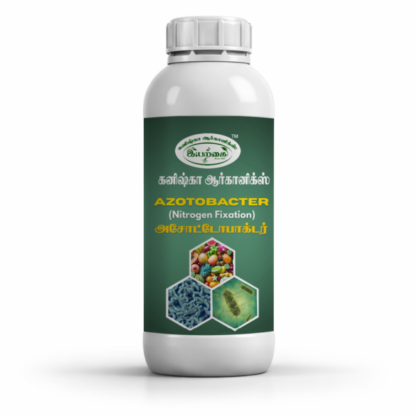 Azatobacter