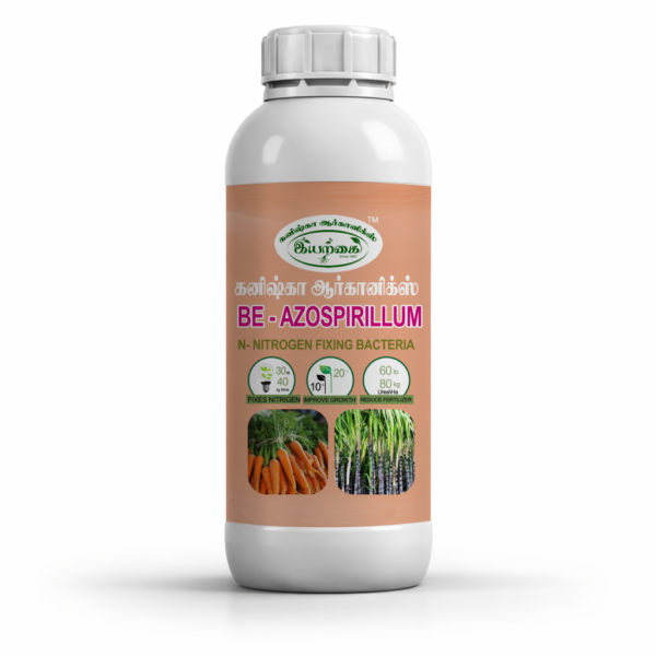 Azospirillum