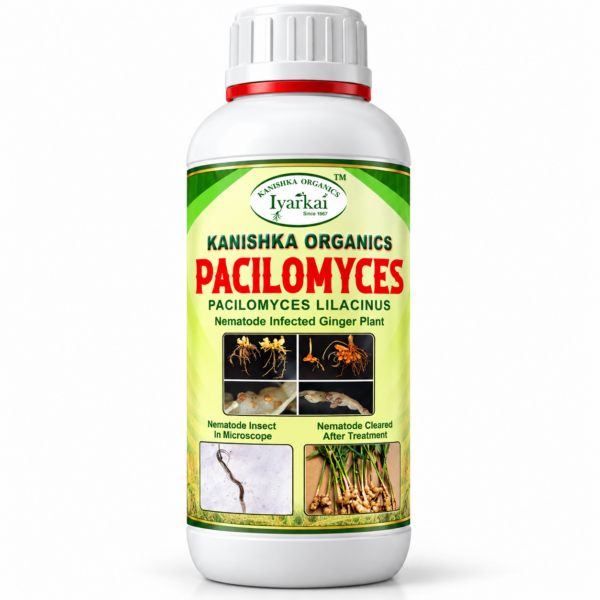 Paecilomyces