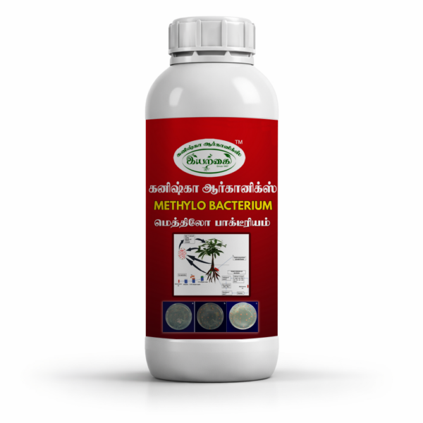 Methylobacterium