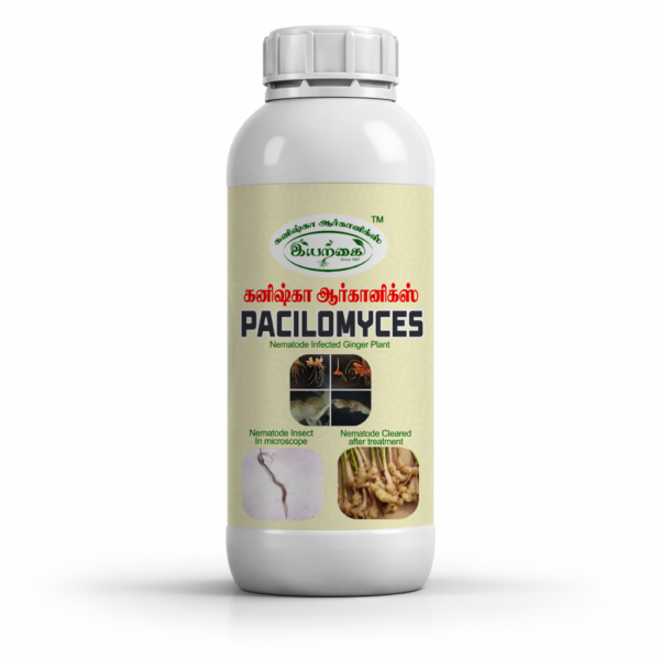 Paecilomyces