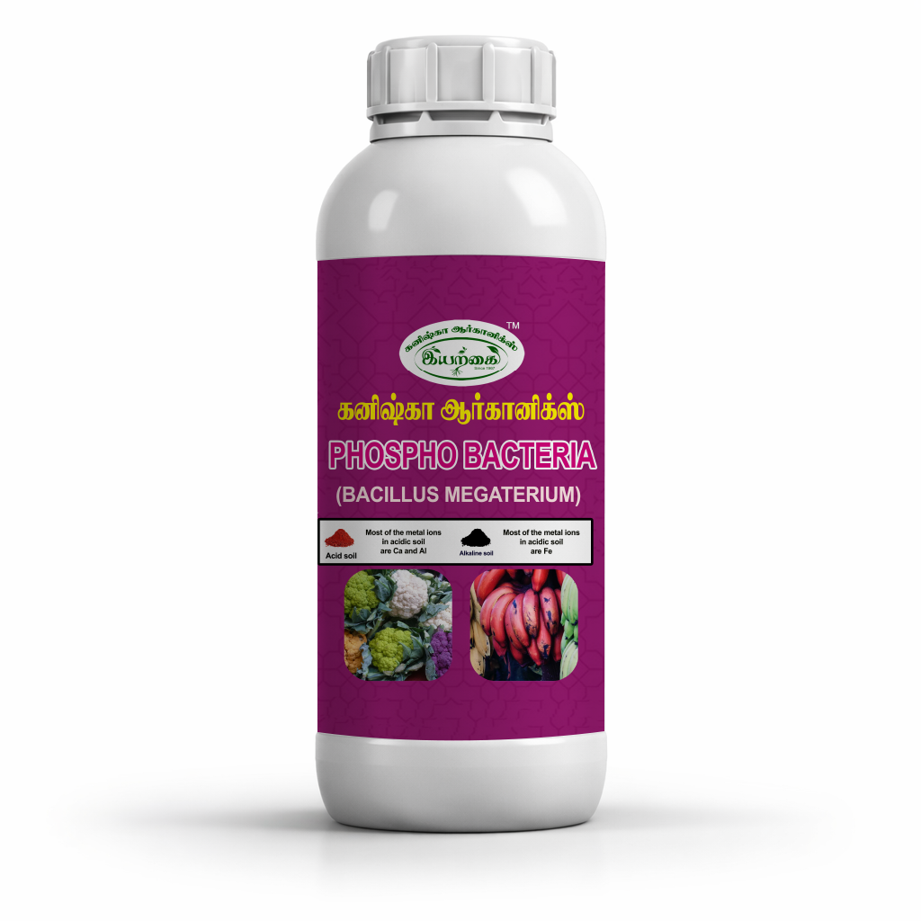 phosphobacteria