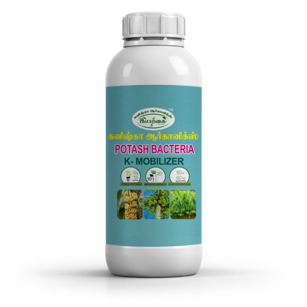 Potash Mobilizing bacteria