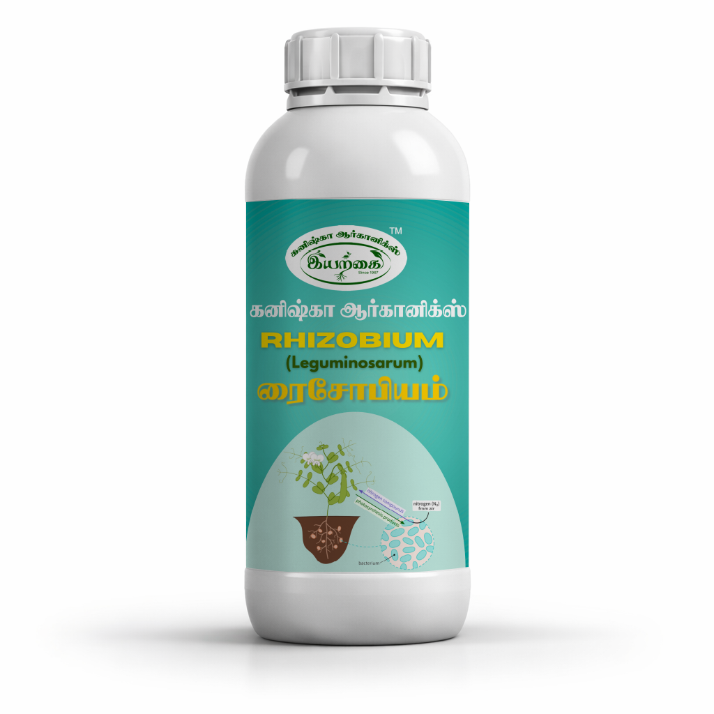 rhizobium
