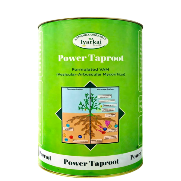 Power taproot (Formulated vam) 100 G | 250 G