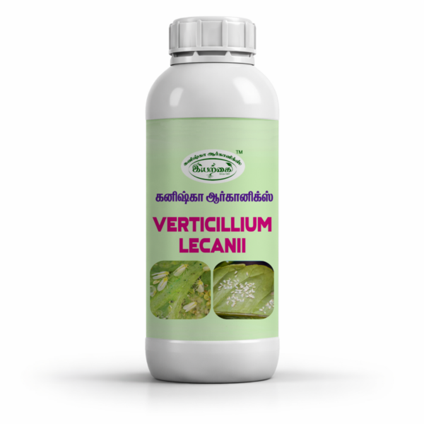 Verticilium lecanii