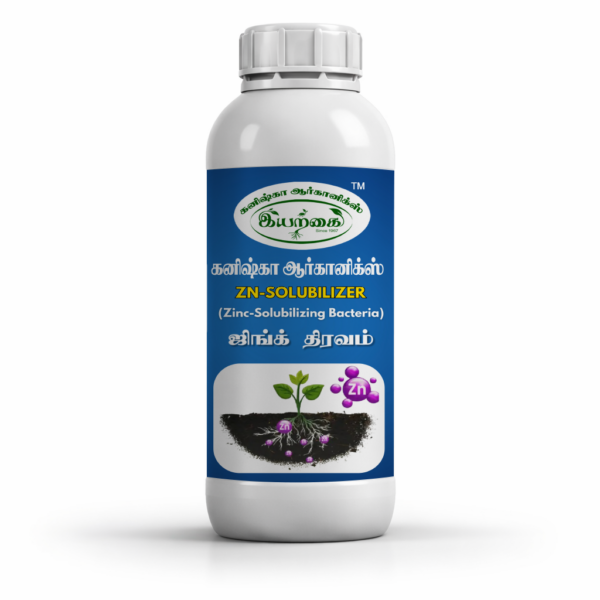 Zinc solublizing bacteria